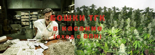 гидра Белоозёрский