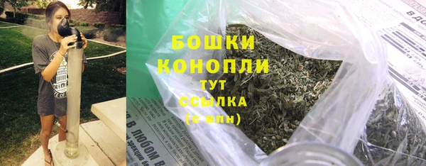 гидра Белоозёрский