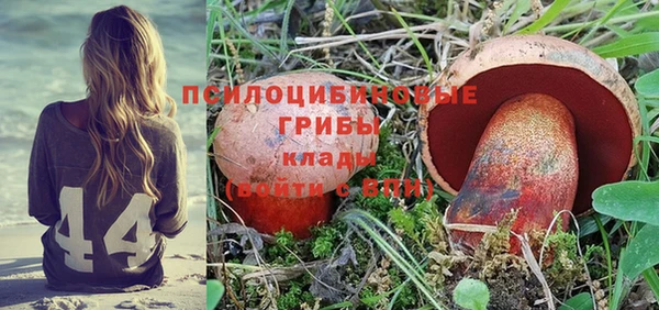 гидра Белоозёрский