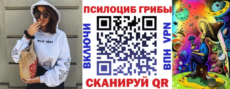 где можно купить Бутурлиновка Псилоцибиновые грибы ЛСД